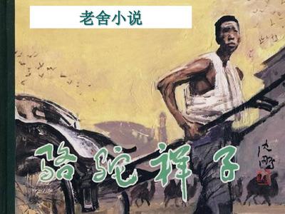 红桃视入口